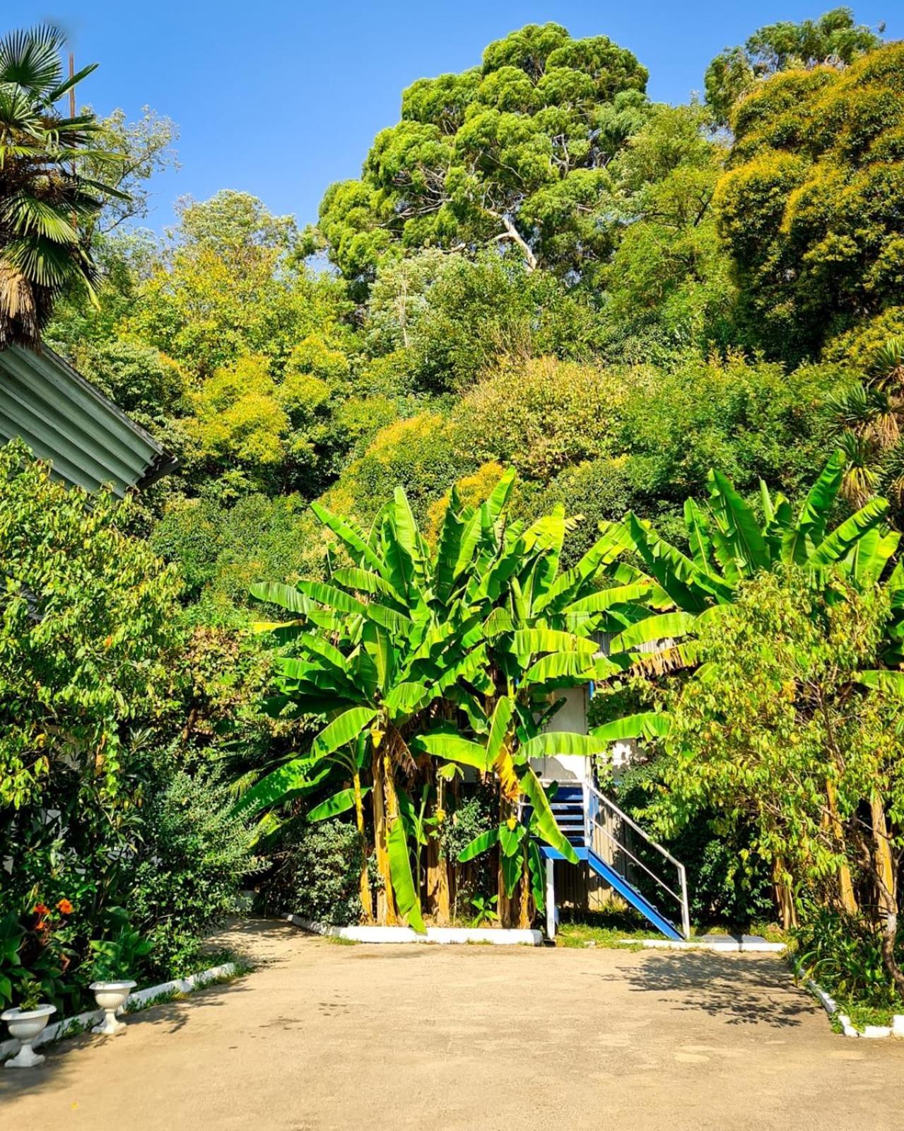 Baza Otdyha Miya Hotel Gudauta Exterior foto